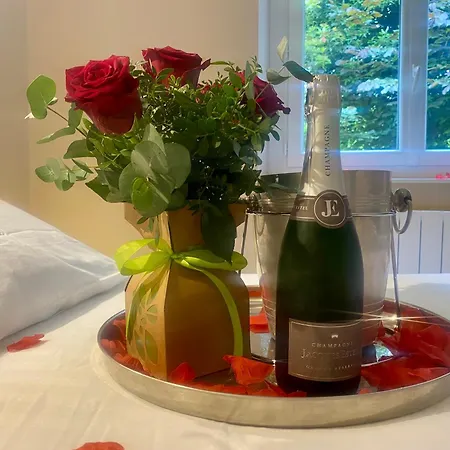 Escapade Tropicale Fibre, Terrasse,parking,clim *