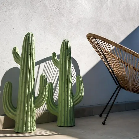 アパート Escapade Tropicale Fibre, Terrasse,parking,clim