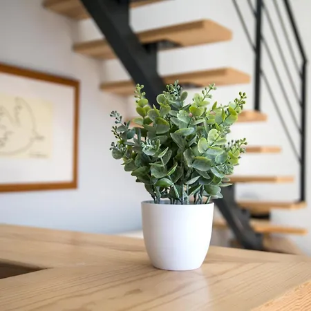 Escapade Tropicale Fibre, Terrasse,parking,clim * ミヨー