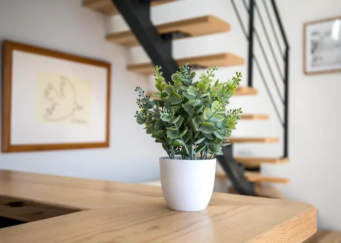 Escapade Tropicale Fibre, Terrasse,parking,clim * 米洛